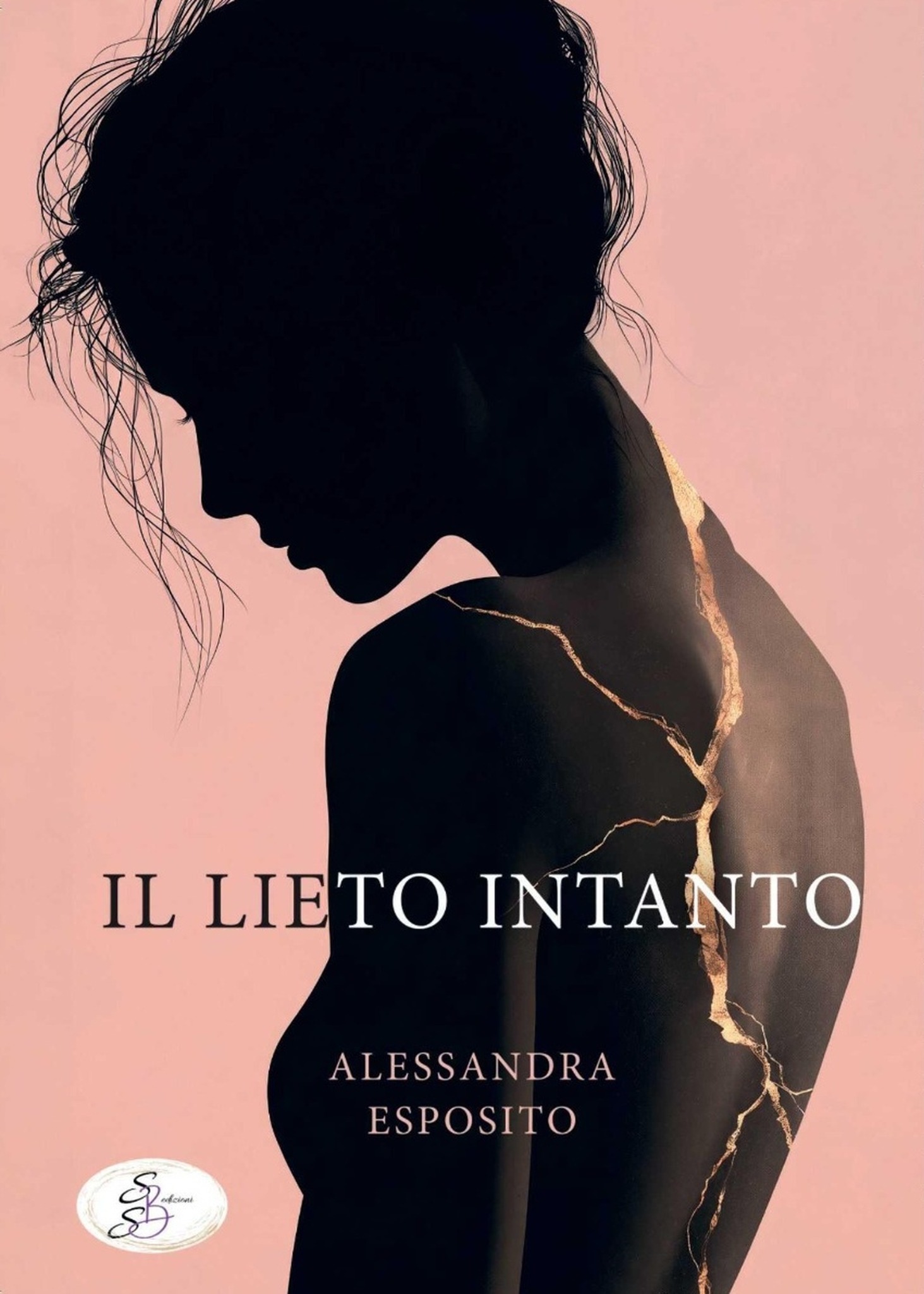 Copertina del romanzo Il lieto intanto di Alessandra Esposito, SBS Edizioni